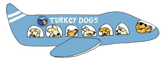 486b7456-58e6-4bc2-8078-47e4ab69897f